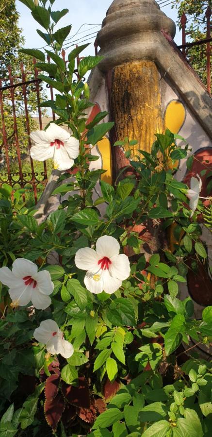 Alona'S Traditional Filipino Home Near 100 Islands Wharf Alaminos Exterior foto